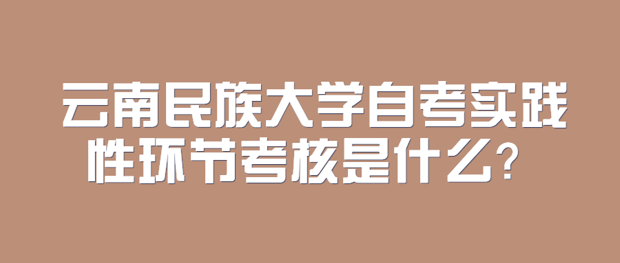 云南民族大學(xué)自考實(shí)踐性環(huán)節(jié)考核是什么？