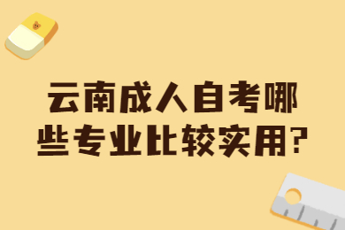 云南成人自考哪些專業比較實用?