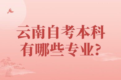 云南自考本科有哪些專業(yè)?