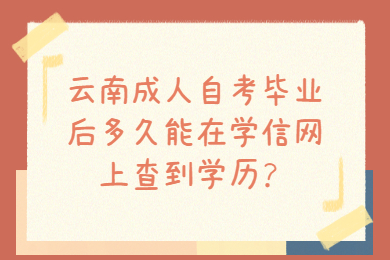 云南成人自考畢業(yè)后多久能在學(xué)信網(wǎng)上查到學(xué)歷?