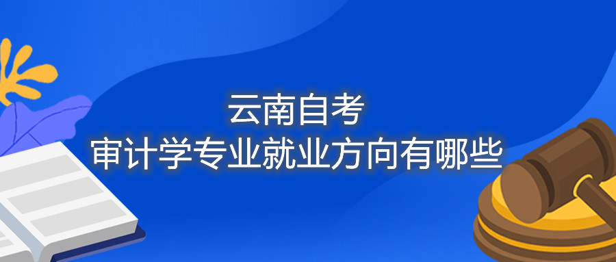 云南自考審計學專業就業方向有哪些